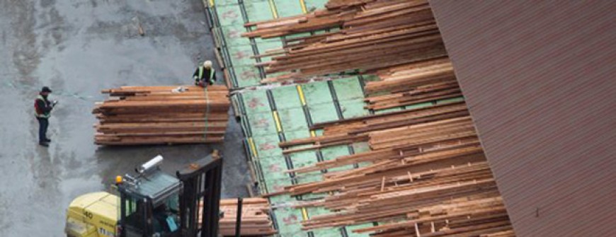 Canada hỗ trợ ngành công nghiệp gỗ xẻ