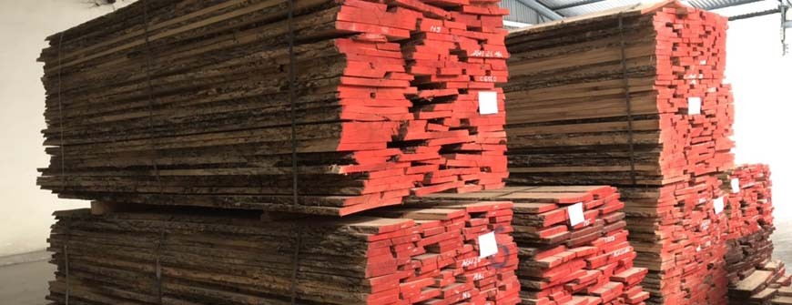 Giá bán gỗ Ash (Tần Bì) tăng cao ngầm báo hiệu điều gì?