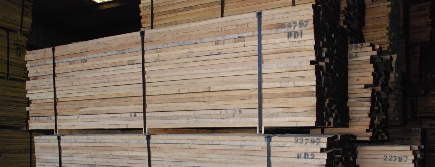 Đặc điểm gỗ sồi (Gỗ oak) nhập khẩu
