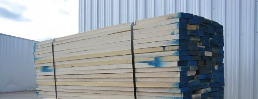 Giá gỗ tần bì (Gỗ ash) Mỹ xẻ sấy nhập khẩu