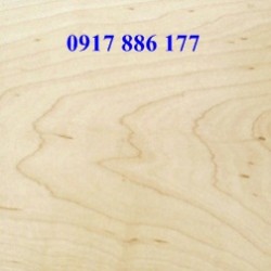 Hard Maple Lumber 6/4''