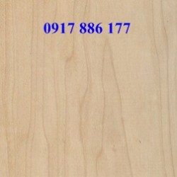 Hard Maple Lumber 8/4''