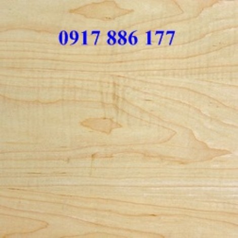 Soft Maple Lumber 5/4''