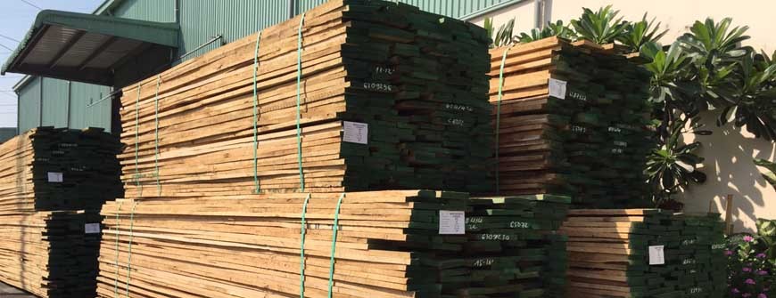 Kho gỗ Sồi xẻ sấy nhập khẩu nhiều quy cách, đủ loại