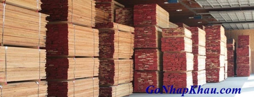 Phân loại gỗ sồi (Gỗ oak) xẻ sấy nhập khẩu